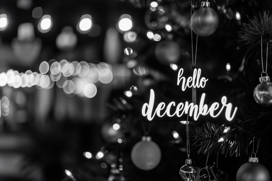 🎄 Freedom Mobility – December Newsletter 🎄