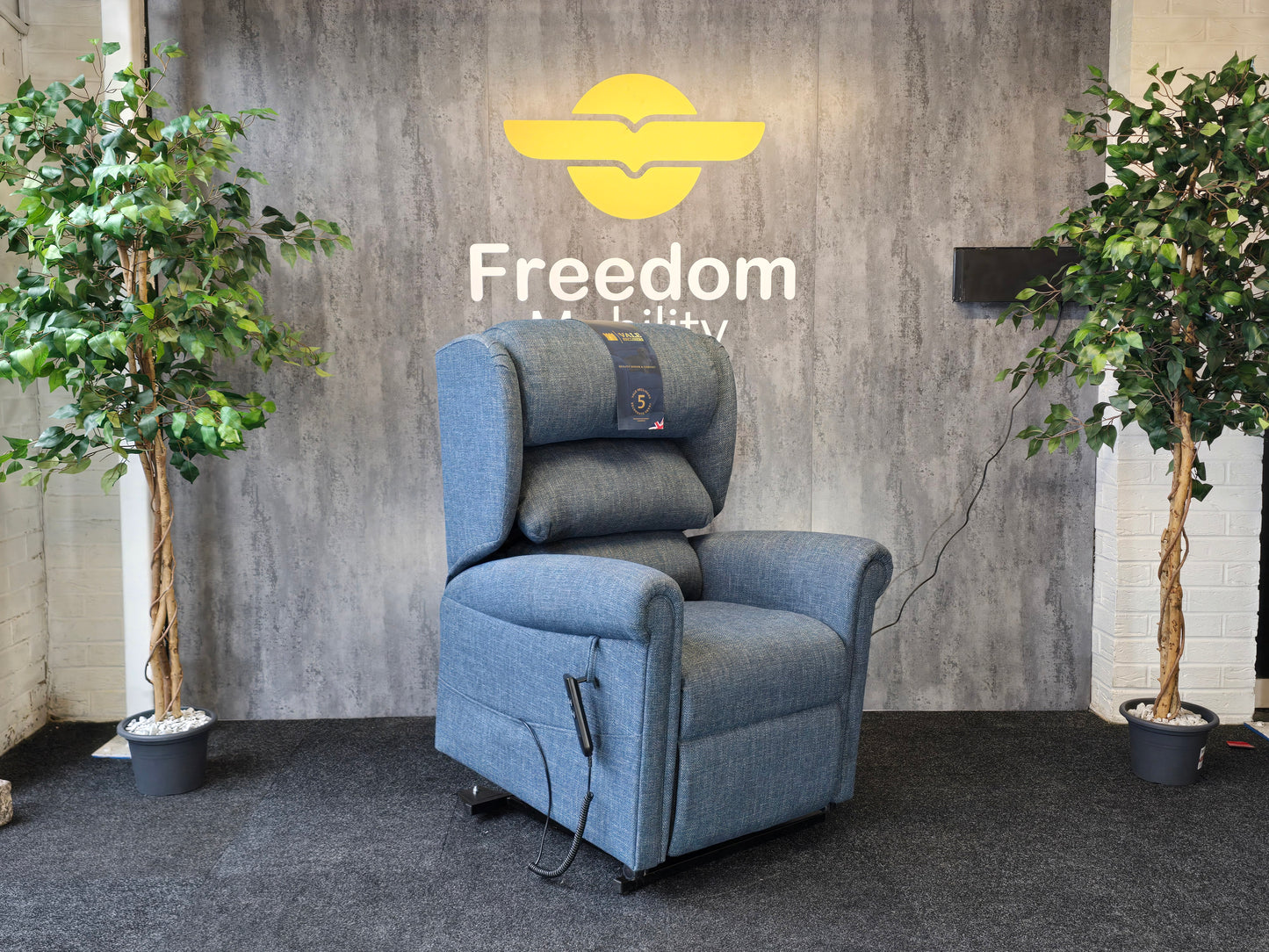 Vale Rise and Recline Arm Chair