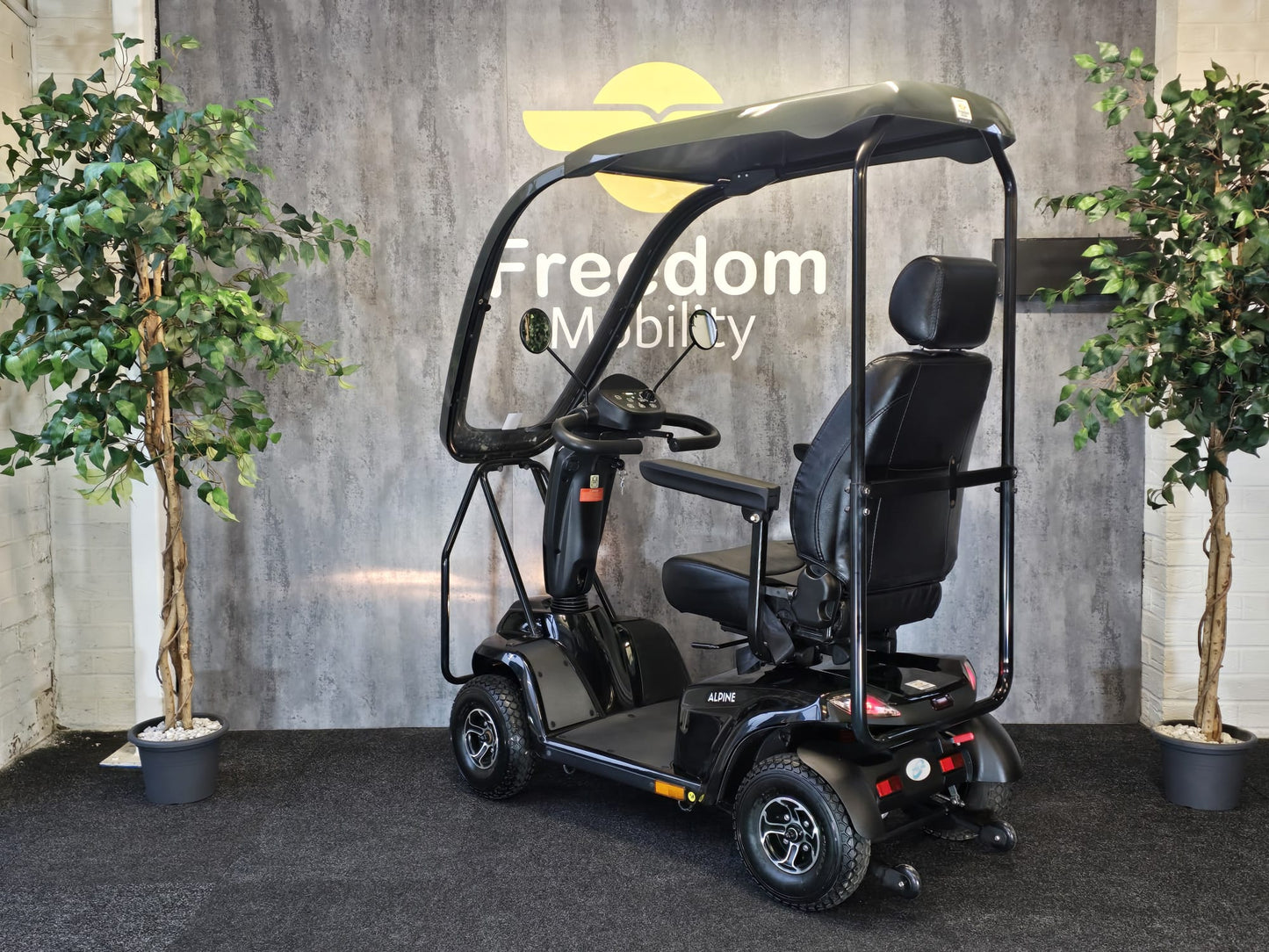 Alpine Canopy (Reconditioned)