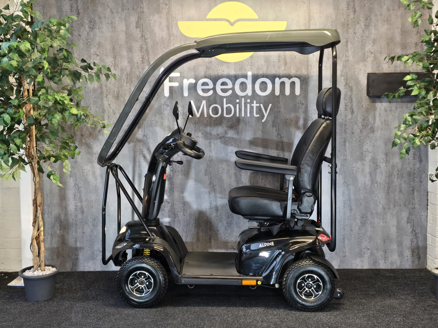 Alpine Canopy (Reconditioned)