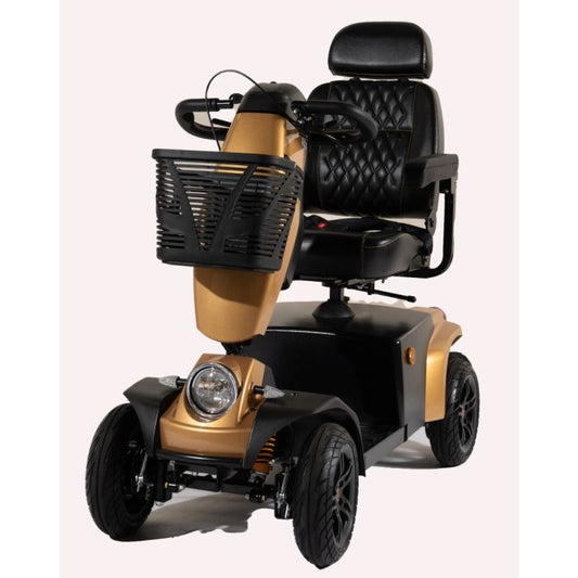 Freerider FR1 Cruiser